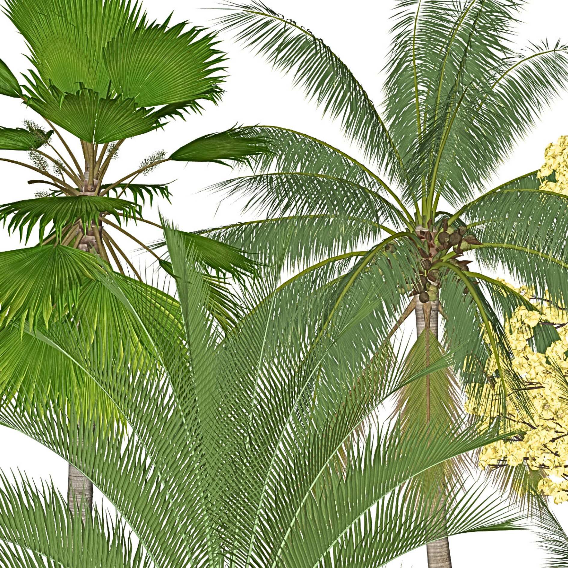 Post instagram frase motivacional moderno minimalista preto e cinza (23)