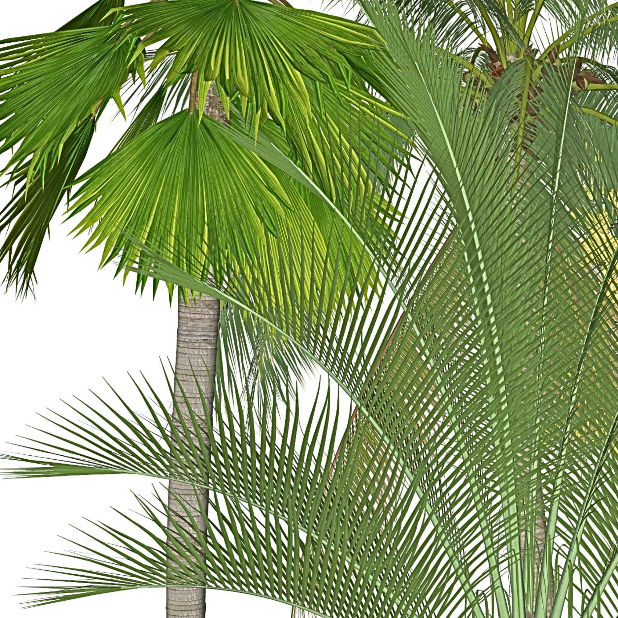 Post instagram frase motivacional moderno minimalista preto e cinza (24)