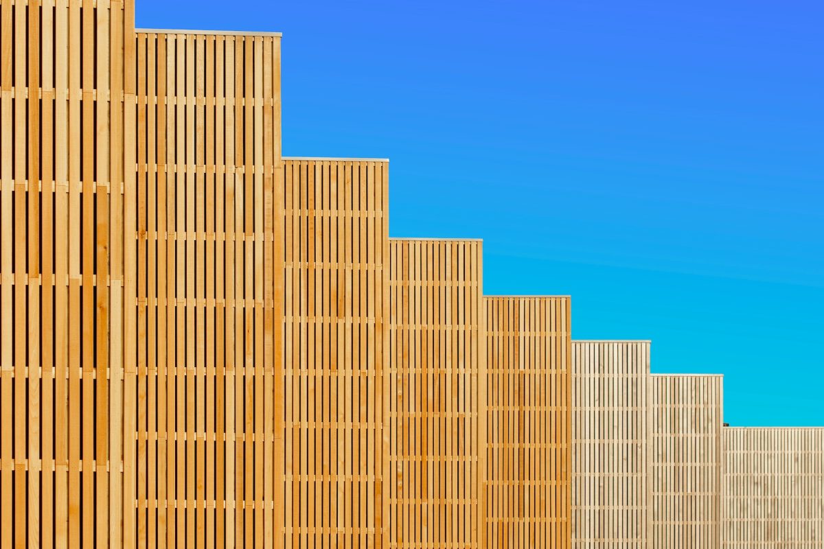 pexels-jan-van-der-wolf-16065692