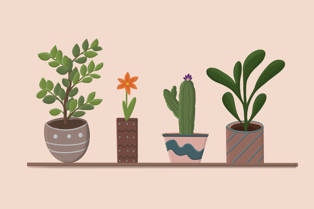 plants-6650595